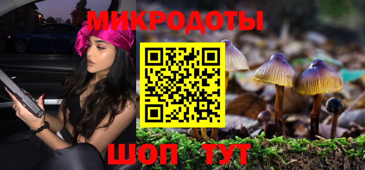 Галлюциногенные грибы GOLDEN TEACHER  Вход с VPN  Кувандык  Псилоцибиновые грибы Magic Shrooms 
